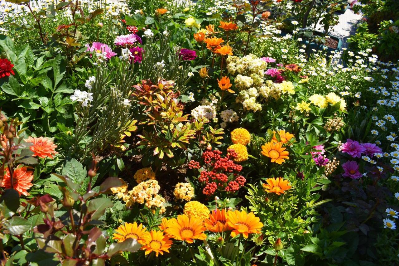 Hotel Garden Terrace Istanbul Exterior photo